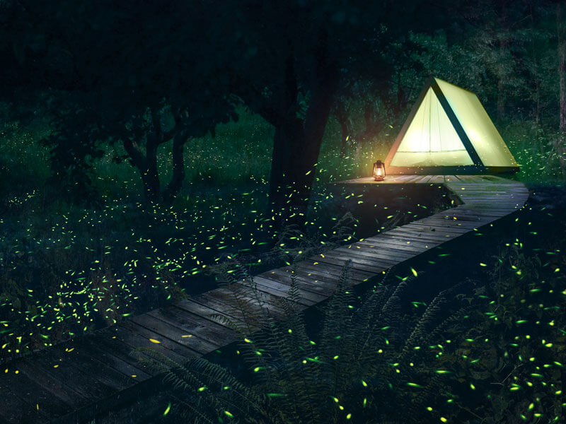 Mini A-Frame Air, vue 3