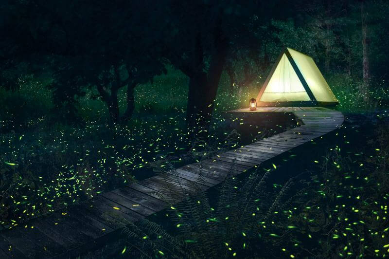 Mini A-Frame Air, vue 5