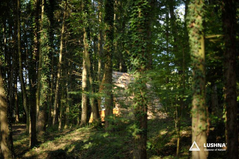 Mini A-Frame en bois, vue 19