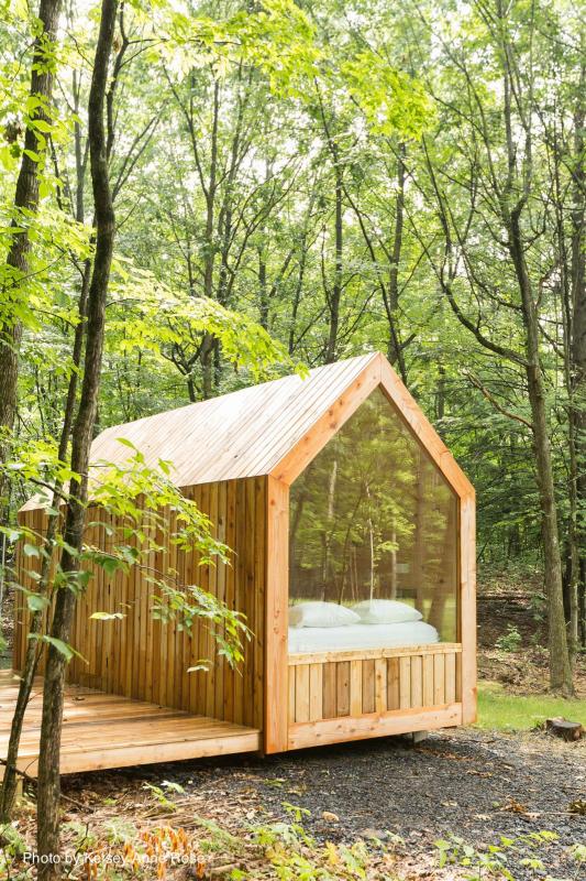 Petit lodge panoramique, vue 8