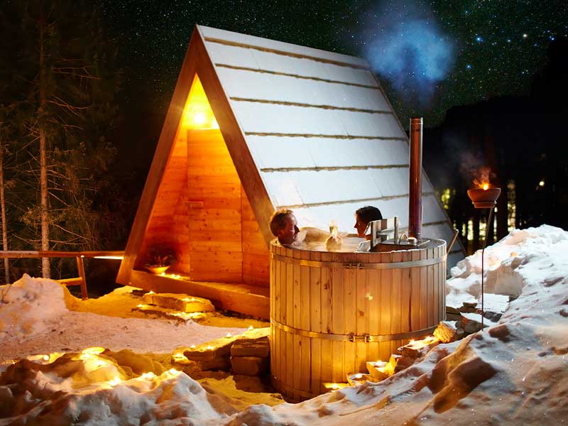 Gozdne vile, villas en forêt avec sauna et jacuzzi, Bled